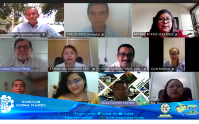 1 ERA. REUNIÓN VIRTUAL DEL CONSEJO DE VINCULACIÓN 2021