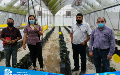 ESTUDIANTE DEL TECNM CAMPUS ZONA OLMECA, PRESENTA PROYECTOEN EL SECTOR PRODUCTIVO, DE «RESCATE DEL CHILE AMASHITO».